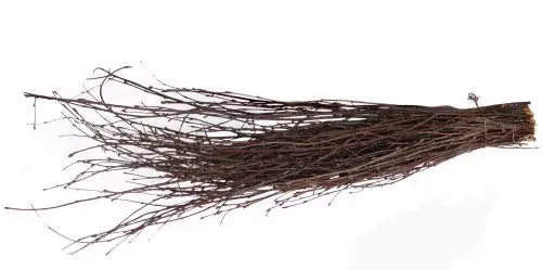 Hugro Knabberbesen - ca. 40 cm Versand Am Gleichen Tag