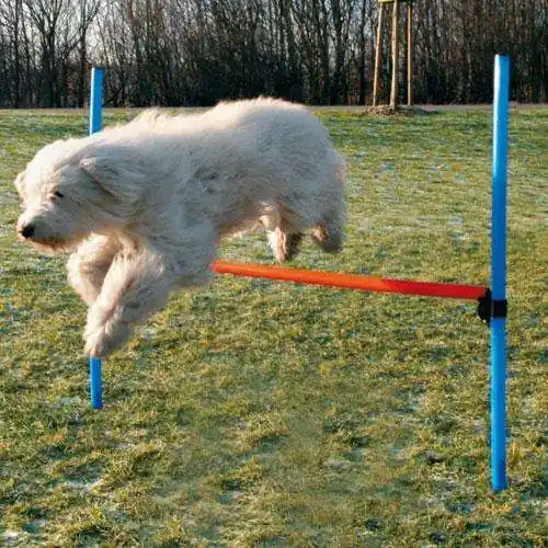 Trixie Agility Hürde Highlight