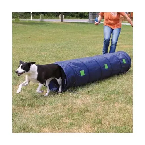 Trixie Agility Tunnel für kleine Hunde / Welpen Neue Ware