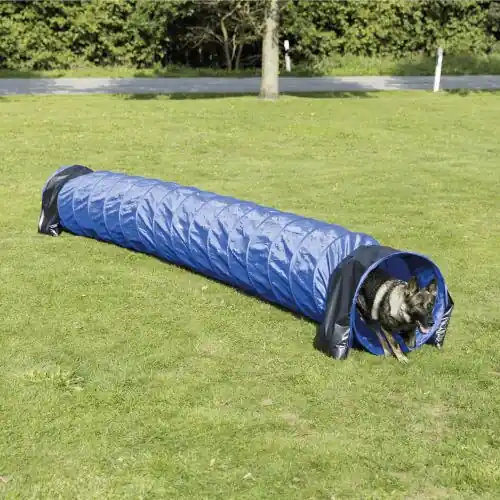 Trixie Agility Tunnel für mittlere/größere Hunde Billig