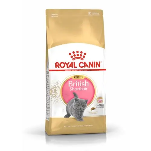 Royal Canin Feline British Shorthair Kitten 400 g Finale Aktion