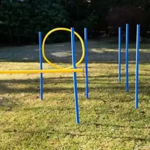 Expressversand Dog Agility Trainings-Set 1 für Einsteiger
