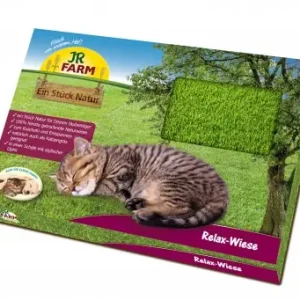 JR FARM Relax-Wiese für Katzen Beliebt
