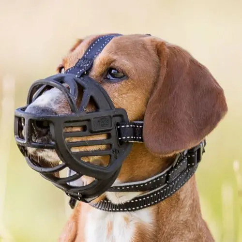 Online Kaufen Trixie Maulkorb Muzzle Flex, Gummi L-XL S