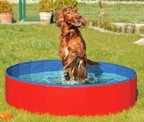 Knallerangebot Karlie DOGGY POOL der Swimmingpool für Hunde - Rot-Blau 80 cm 80 cm