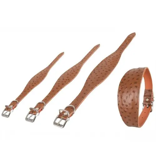 Geprüft Karlie Windhund-Halsband Ventus 55cm / Braun 50cm / Braun