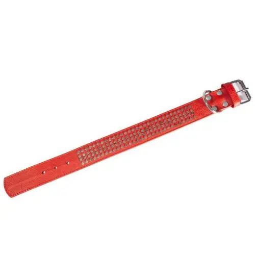 Sichere Zahlung Karlie Vintage Halsband mit 4eck-Nieten 50mm - Rot 70cm / 50mm 50cm / 50mm