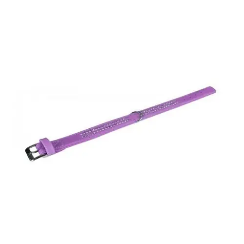 Top-Angebot Karlie Buffalo Strass-Halsband - Violett 2-reihig, 45cm/24mm 2-reihig. 45cm/24mm