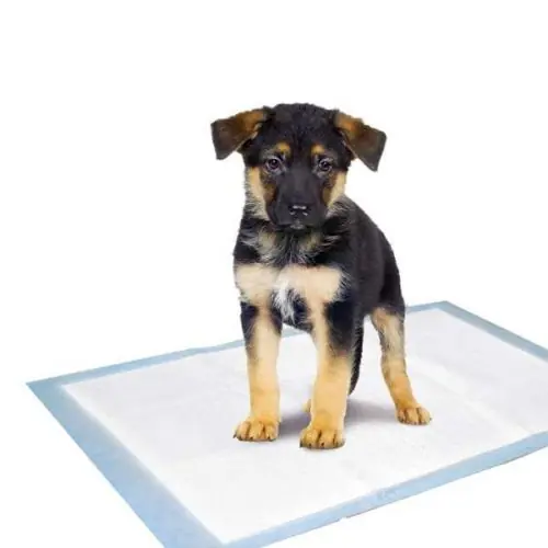 Top-Angebot Karlie Flamingo Puppy Pads Trainingsmatten 60 x 40 cm / 10 Stk 35 x 45 cm / 10 Stk