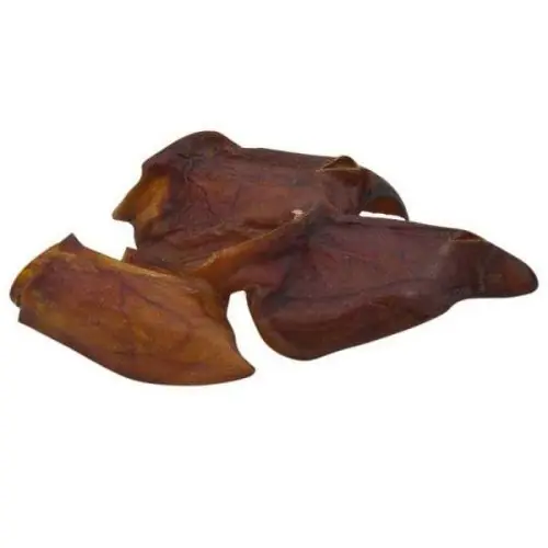 Classic Dog Schweineohren 10 Stück 10 Stück Neue Kollektion