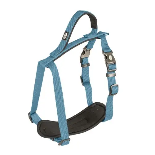 Preis Gesenkt Duvoplus EXPLOR North Geschirr - Petrolblau 65-80cm/25mm 30-40cm/15mm
