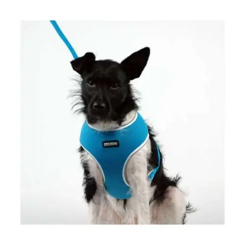 Bestseller Pet-Star Softgeschirr / Netzgeschirr - Blau XL L