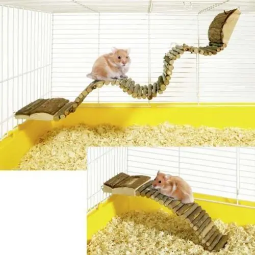 Karlie Hamsterleiter Klein Klein Zertifiziert