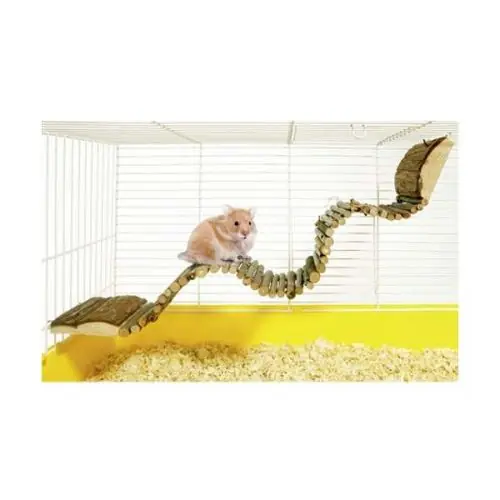 Letzte Chance Karlie Hamsterleiter Groß Klein