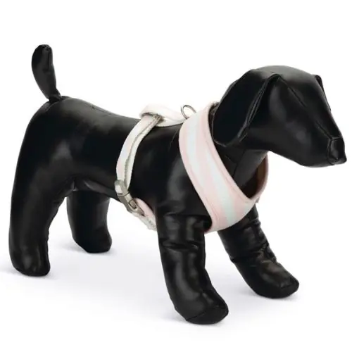Beeztees Puppy Welpengeschirr M / rosa S / grau-gelb Direktkauf