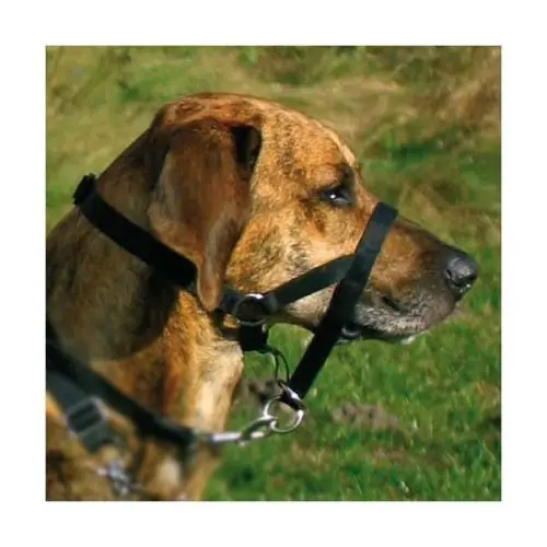 Trixie Top Trainer Ausbildungsgeschirr max. 37 cm max. 22 cm Letzte Chance