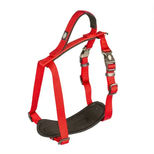 Online Kaufen Duvoplus EXPLOR North Geschirr - Rot 40-50cm/15mm 30-40cm/15mm