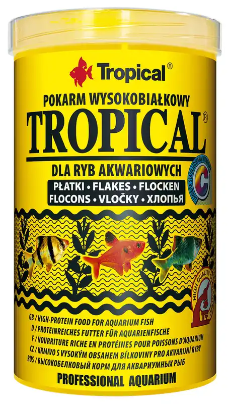 Nur Heute Tropical
