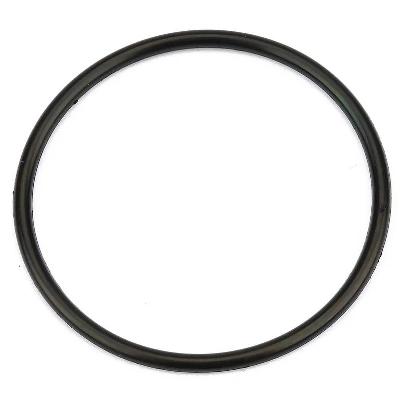 Zertifiziert JBL Ersatzteil CristalProfi e1501 / e1901 Profildichtung Pumpenkopf