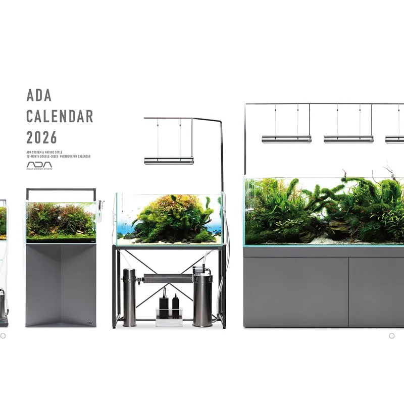 ADA NA Kalender 2026 Preiswert