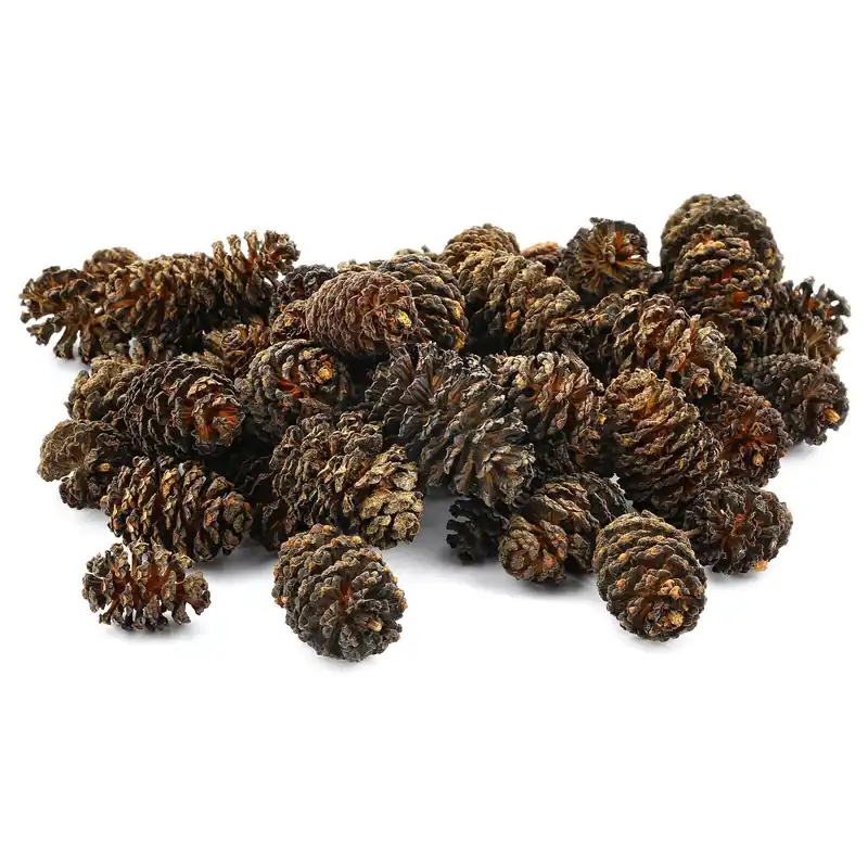 Erlenzapfen 25 g Abverkauf