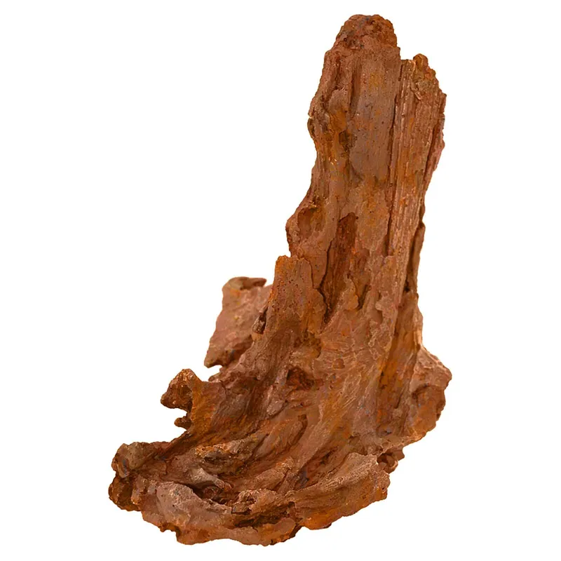 Neue Kollektion Oase biOrb Air Baumwurzel Ornament spire