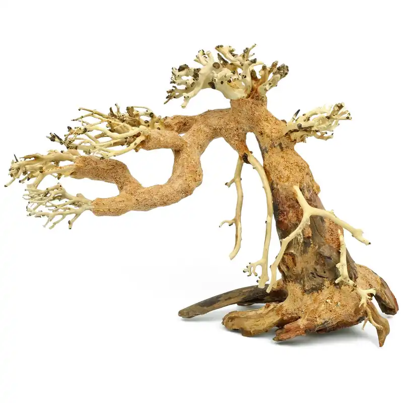 Aqua-Bonsai S Wochenendangebot