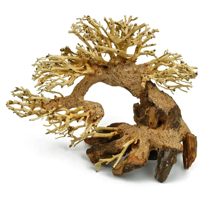Direkt Vom Hersteller Aqua-Bonsai S