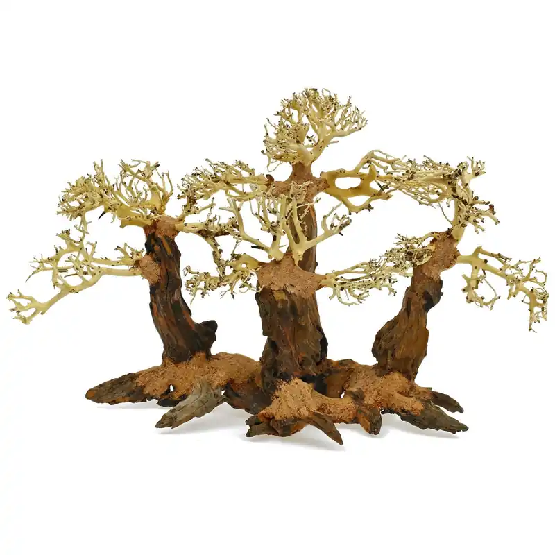 Wald-Bonsai S Angebot