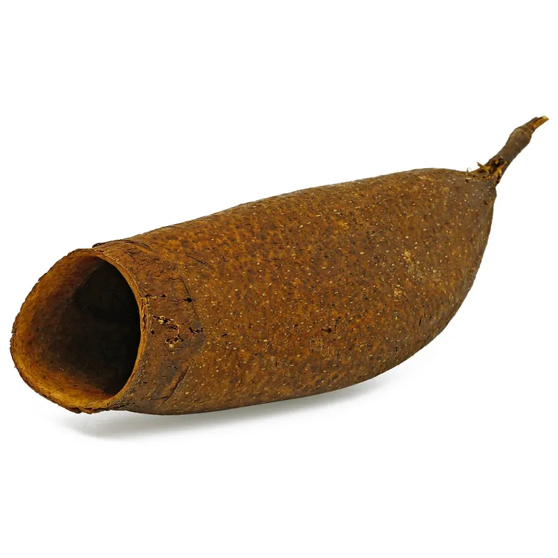 Serafino Garnelenhöhle S (4-6 cm) Mega-Angebot
