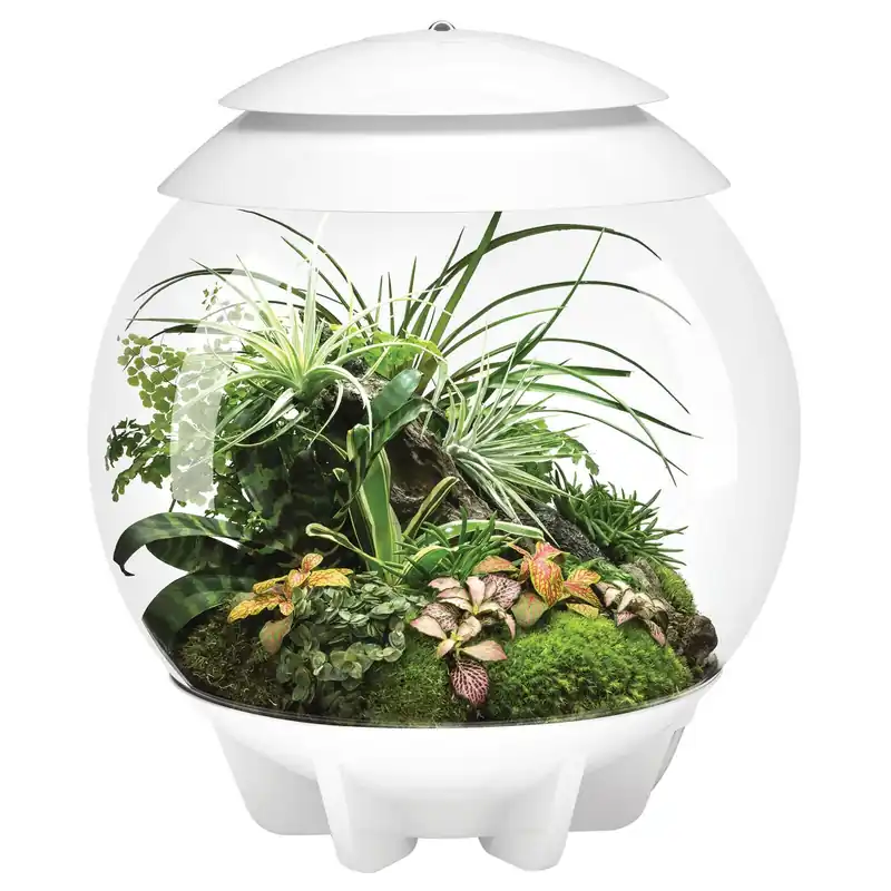 Oase biOrb Air 30 Weiß Preis Gesenkt