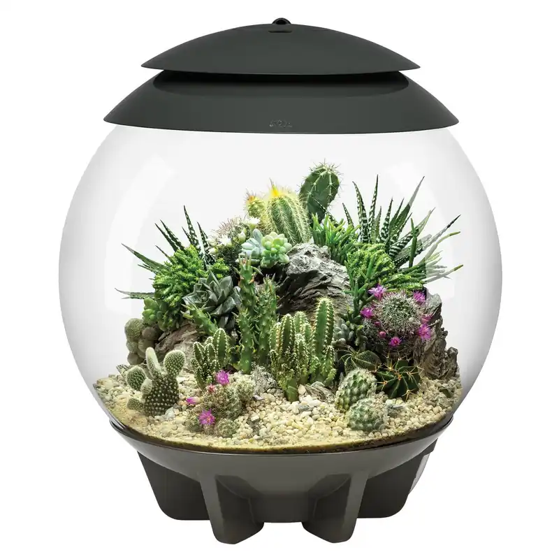 Oase biOrb Air 30 Weiß Schnäppchen
