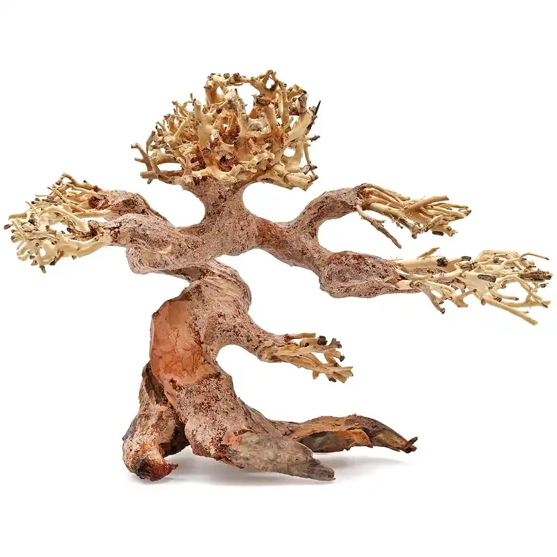 Claw Bonsai XS Garantierte Lieferung