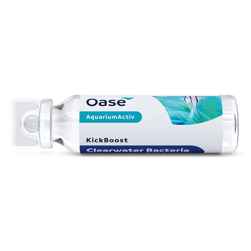 Oase Kick Kur KlarWasser Bakterien 30 ml Jetzt Bestellen