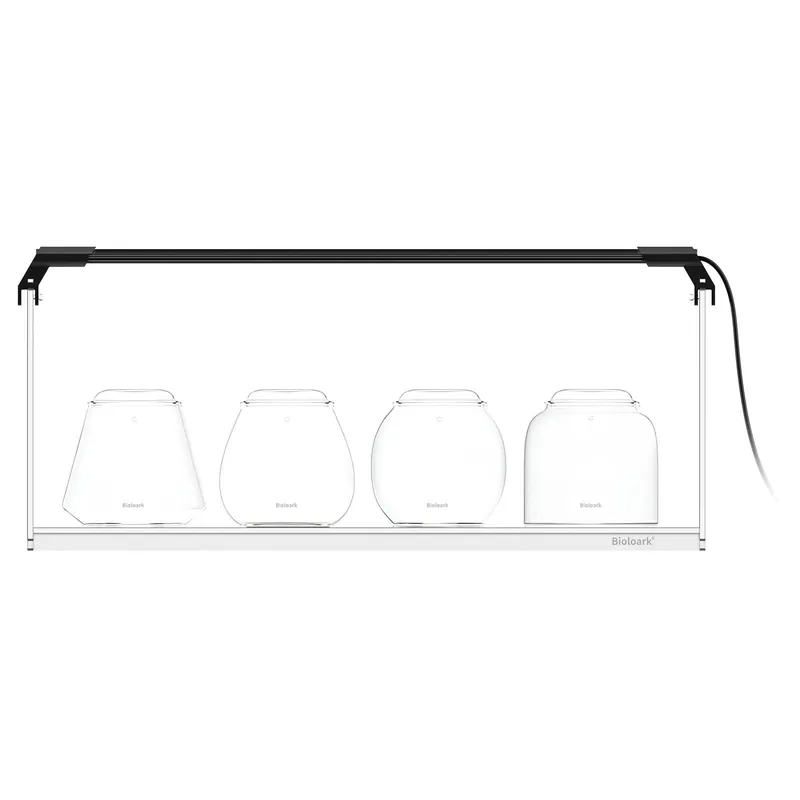 Markenprodukt Bioloark Bubble Cup Set mit Beleuchtung und Stand LH-02