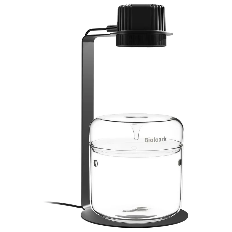 Bioloark Wabi-Kusa Set LH-03 Preiswert