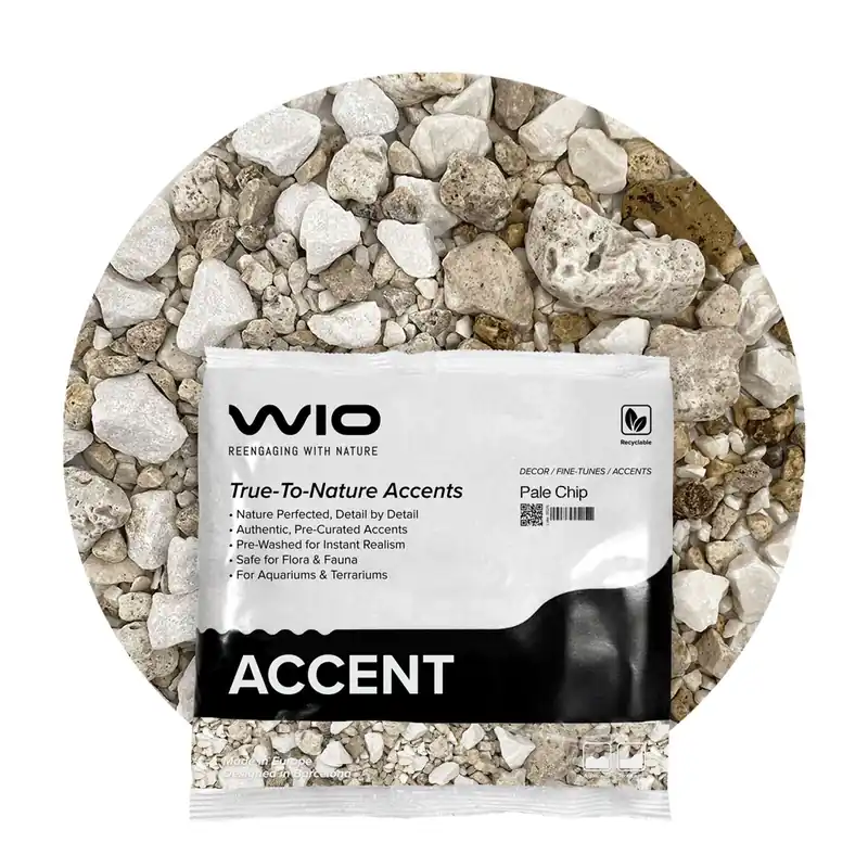 WIO Accents Pale Accent 750 g Neu Im Sortiment