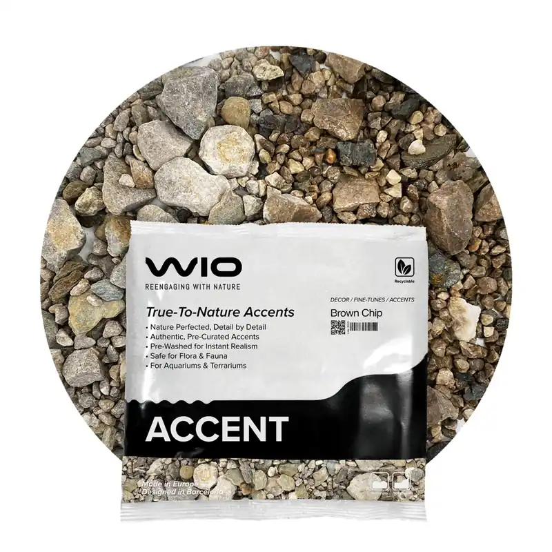 WIO Accents Brown Accent 750 g Schneller Versand