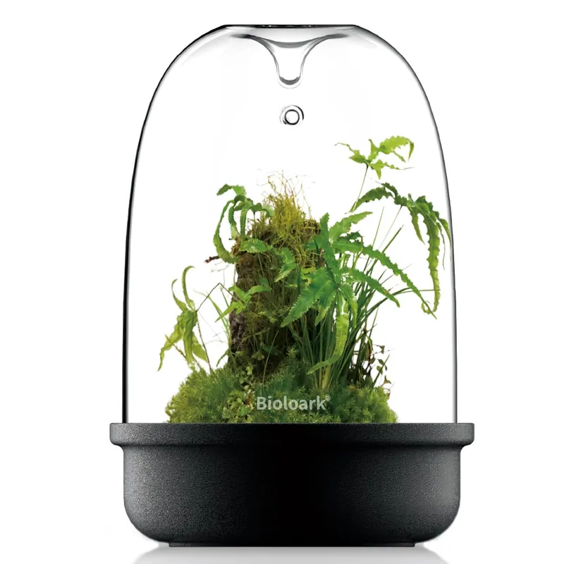 Wochenendangebot Bioloark Luji Glass Cup Schwarz MQ MQ-150