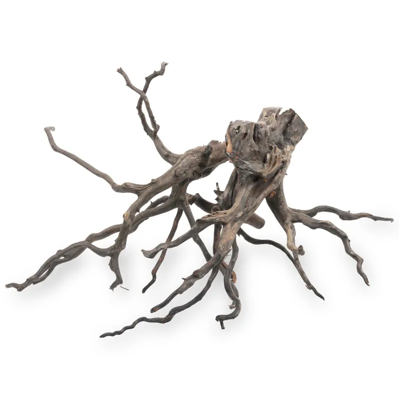 Markenprodukt Black Root S - Set - 10-15 cm
