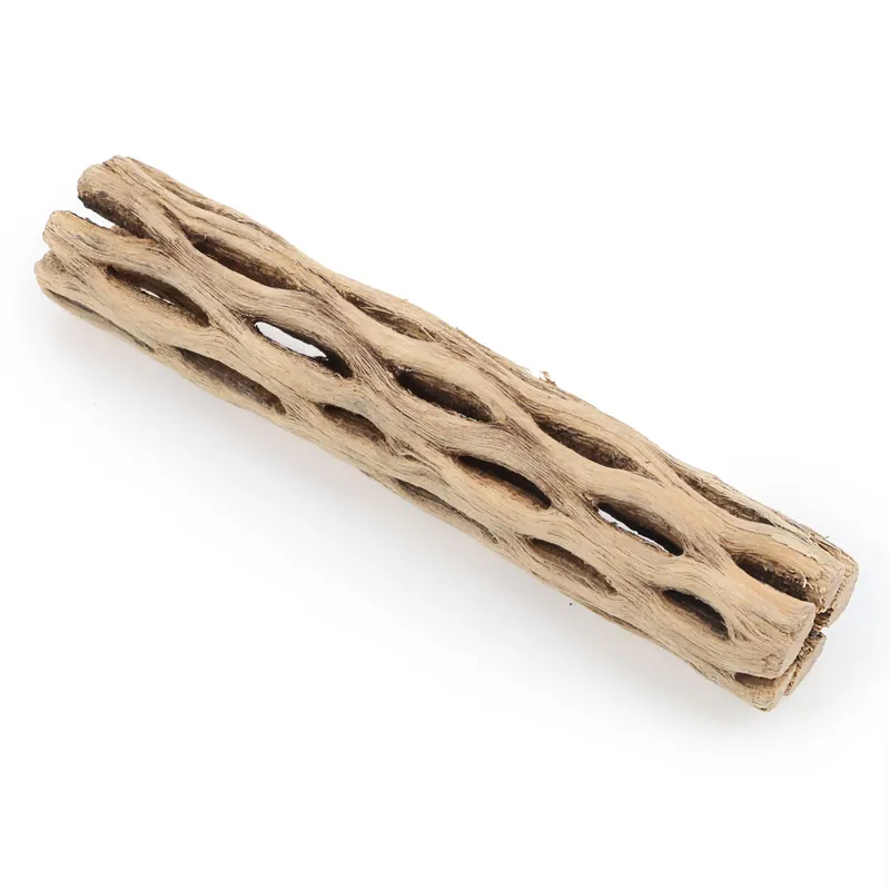 Meistverkauft UNS Cholla Sticks S