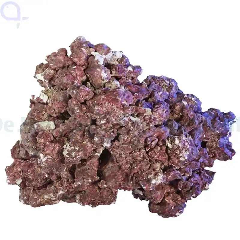 Abverkauf Real Reef Rock Mix Box