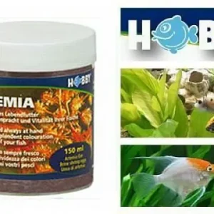 Angebot Hobby Artemia Eier 150 ml