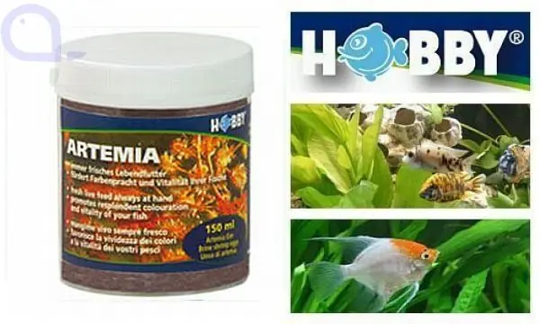 Angebot Hobby Artemia Eier 150 ml