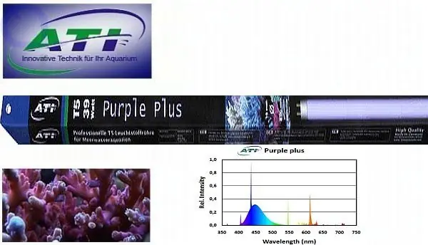 ATI Purple Plus 24 Watt Neu Im Sortiment