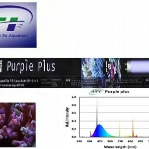 ATI Purple Plus 80 Watt Preisknaller
