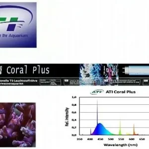 Online Kaufen ATI Coral Plus 80 Watt
