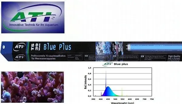 Beliebt ATI Blue plus T5 Röhre 54 Watt