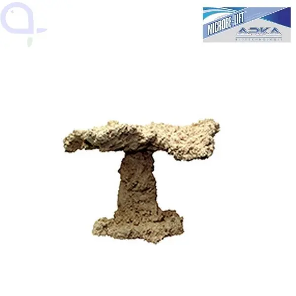 Highlight Arka Riffpilz 30 cm