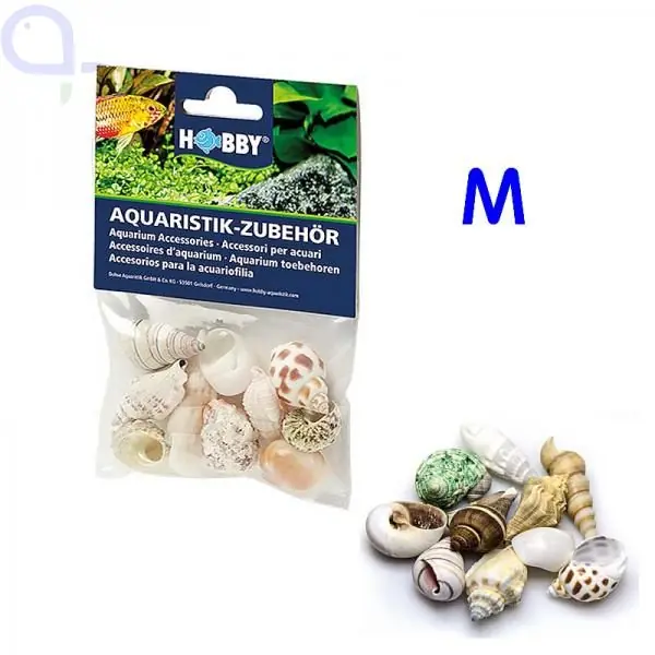 Sea Shells Set - Größe M - Schneckenhäuser für Einsiedler Schneller Versand